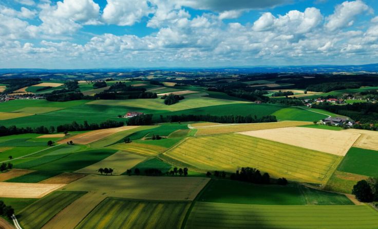 Die Dokumentation „Die Innviertler Roas“ zeichnet ein Porträt des Innviertels. (Foto: RANFilm)