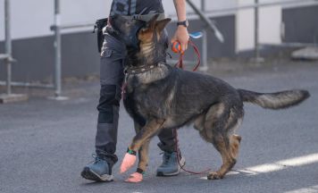 Neues Trainingszentrum für Spürhunde in Schärding