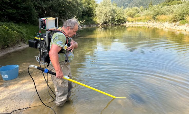 Revierobmann Heimo Huber beim Elektrischen abfischen. (Foto: Etlinger Ernst)