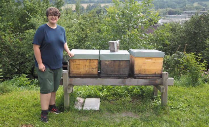 Imker Leonhard und seine Bienenvölker sorgen für Honig in Bad Schallerbach. (Foto: Tanja Auer)
