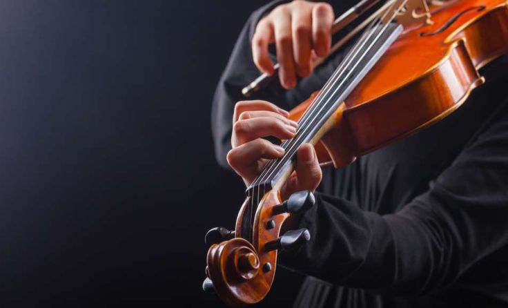 Foto: Shutterstock.com/Artem Furman
