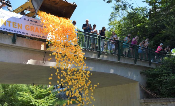 2.000 Enten starteten in das Rennen. Foto: Lions Club-Reimair 
