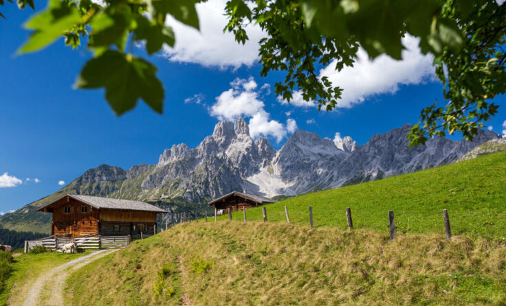 (Foto: Coen Weesjes/Adobe Stock)