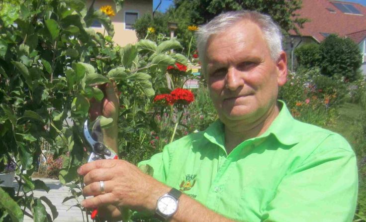 Landesgartenfachberater Willi Frickh beim Baumschnitt. (Foto: Siedlerverein)