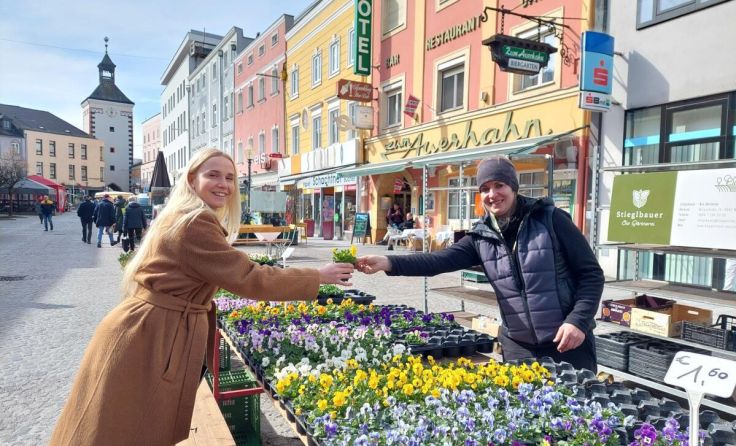 Stefanie Stieglbauer verkauft Stiefmütterchen und Salatpflanzerl. (Foto: K. Kühn)