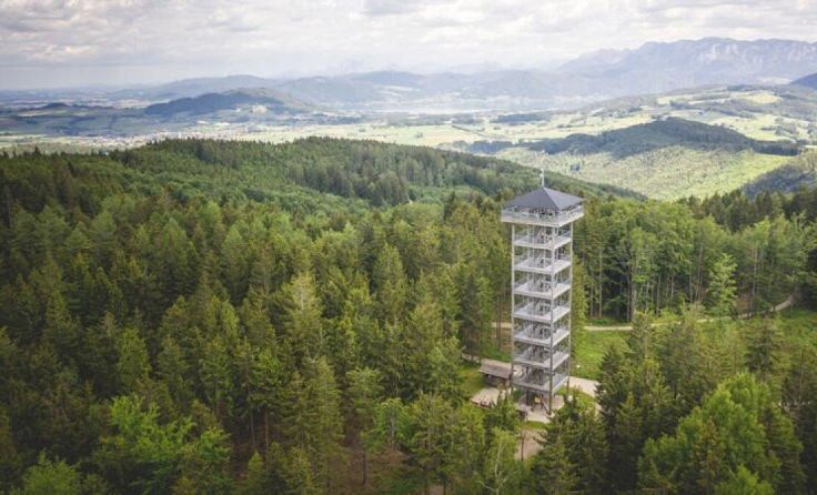 Unter dem Lichtenberg wird Erdgas vermutet. (Foto: TVB Attersee-Attergau/Moritz Ablinger)