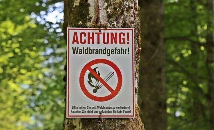 Die Waldbrandschutzverordnung tritt am 16. März 2024 in Kraft. (Foto: Hörmandinger)