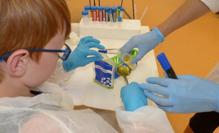 Forschungsinstitut für Limnologie (Foto: Sabine Wanzenböck, Forschungsinstitut für Limnologie)