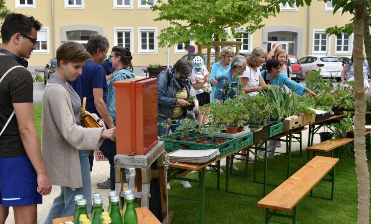 Besucher beim Pflanzentauschmarkt (Foto: Stadtgemeinde Attnang-Puchheim)