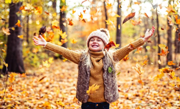 Das Programm ist bunt wie der Herbst. (Foto: Louis-Photo/stock.adobe.com)