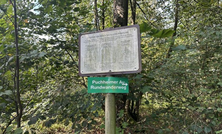 Lehrpfad Puchheimer Au (Foto: Stadtgemeinde Attnang-Puchheim)
