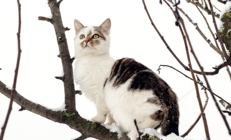 Symbolfoto (Foto: Volodymyr/stock.adobe.com)