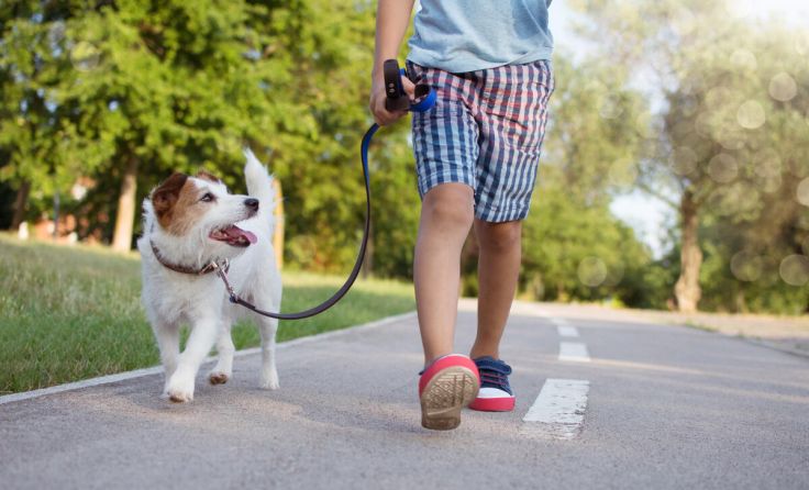 Symbolfoto (Foto: Sandra/stock.adobe.com)