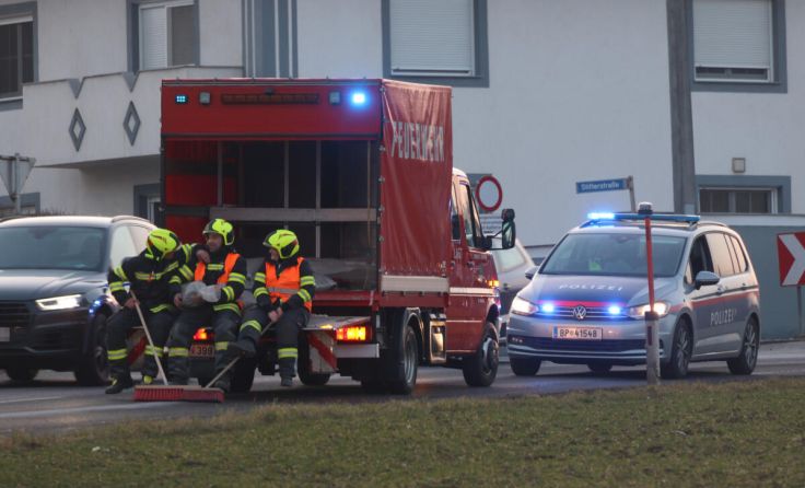 Vier Feuerwehren standen im Einsatz (Foto: laumat/Matthias Lauber)