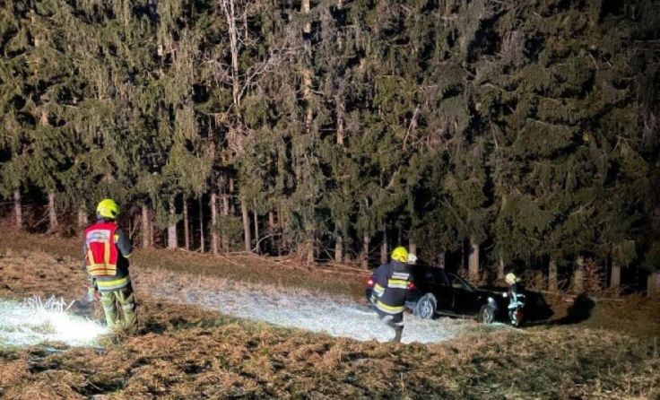 Unfall (Foto: Bfkdo Amstetten / FF Sonntagberg)
