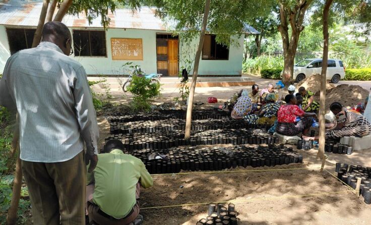 Baumprojekt (Foto: Hagler)