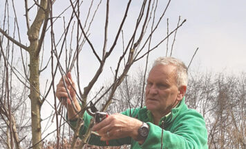 Baumschnittkurs in Puchkirchen am Trattberg