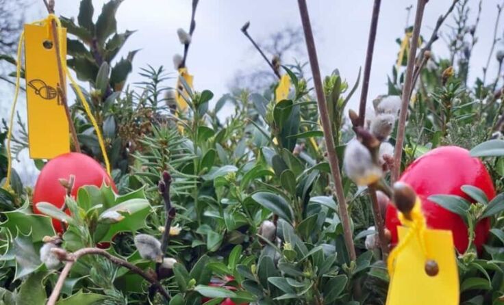 Palmbuschen (Foto: Goldhauben Stadt Vöcklabruck)