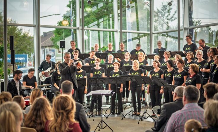 Singfoniker in f (Foto: Singfoniker in f)