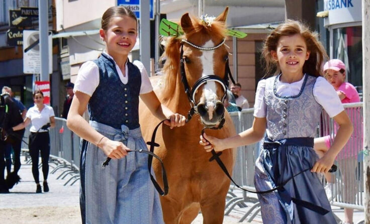 Pferdemarkt (Foto: August Gasselsberger)