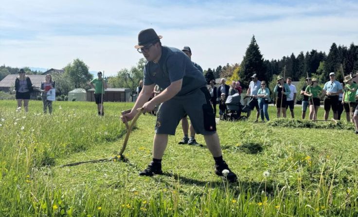 Bezirksentscheid (Foto: Landjugend Vöcklabruck)
