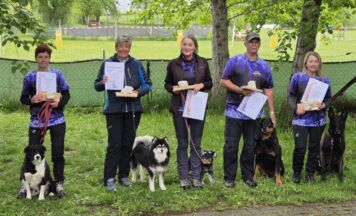 Erfolge für Bad Ischler Hundesportler