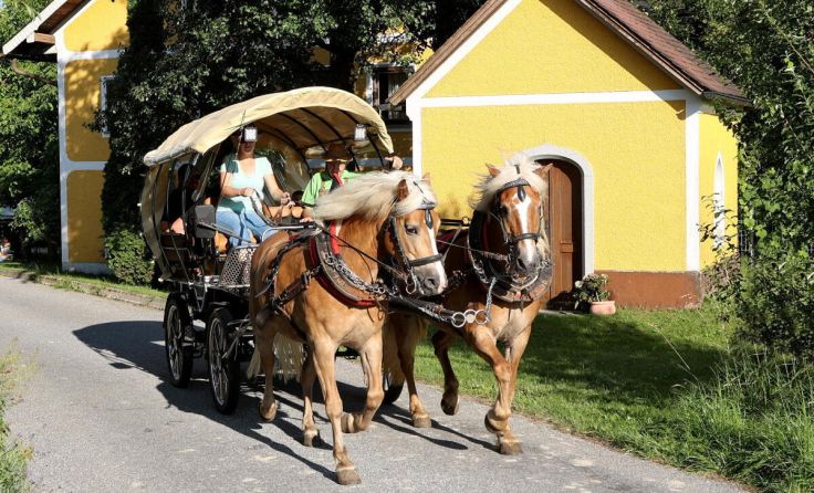 Buntes Programm für Groß und Klein (Foto: Helmut Klein)
