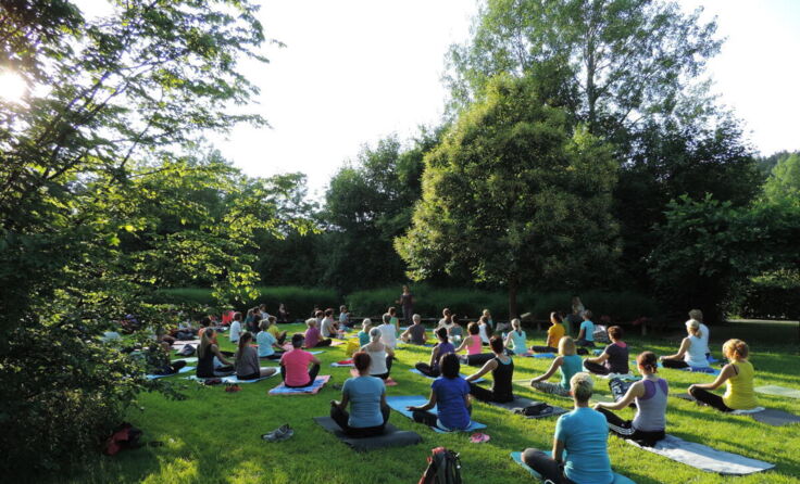 Yoga im Park (Foto: Aigner)