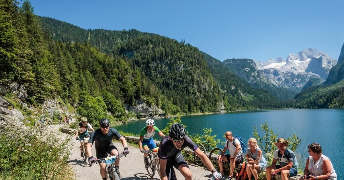 orbea lenkerband DECAIK 2 Stück Fahrrad für urrun30 2023, Rutschfestes und Stoßdämpfendes Griffband, Wasserdichtes Lenkerband für Mountainbikes und Rennrad Sport & Freizeit Color:6LBMT RUTHENIUM DIY Fahrrad-Wandhalterung: Teil 2 vast display