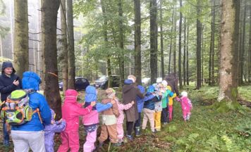 Tag des offenen Waldes im Naturpark Bauernland