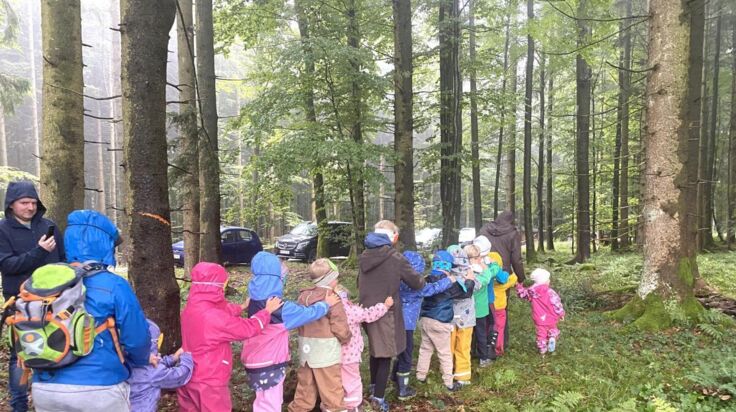 Tag des offenen Waldes im Naturpark Bauernland