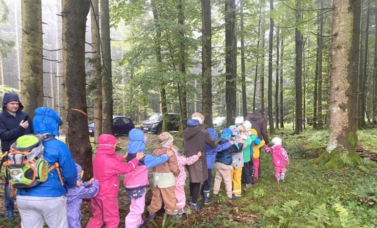 Tag des offenen Waldes (Foto: Naturpark Bauernland)