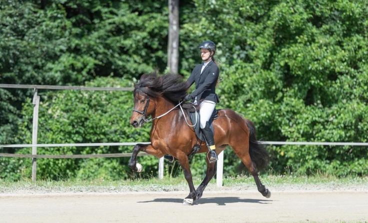 Barbara D. mit Pferd Gormur (Foto: Sandra Koblbauer)