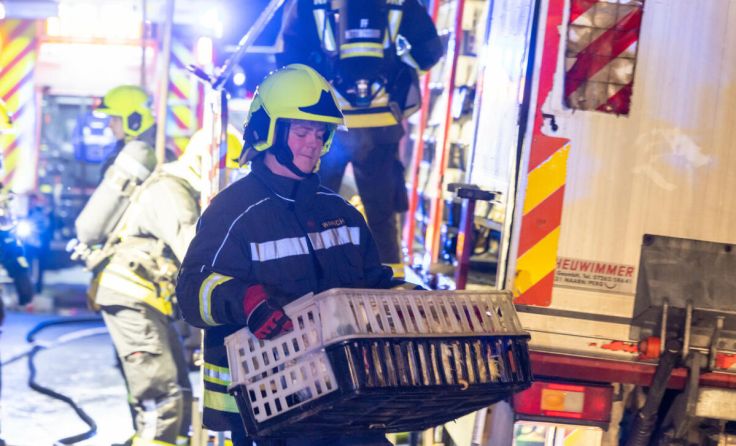 Die Feuerwehr half beim Umladen der Tiere. (Foto: TEAM FOTOKERSCHI.AT / DRAXLER)