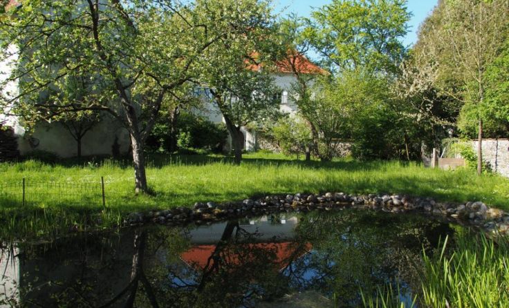 Die Vielfalt im Garten kennenlernen (Foto: Peter Prack)