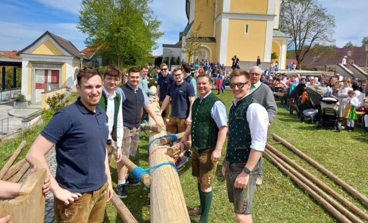 Mit vereinter Kraft wurden die Maibäume aufgestellt. (Foto: Pressereferat Ansfelden)
