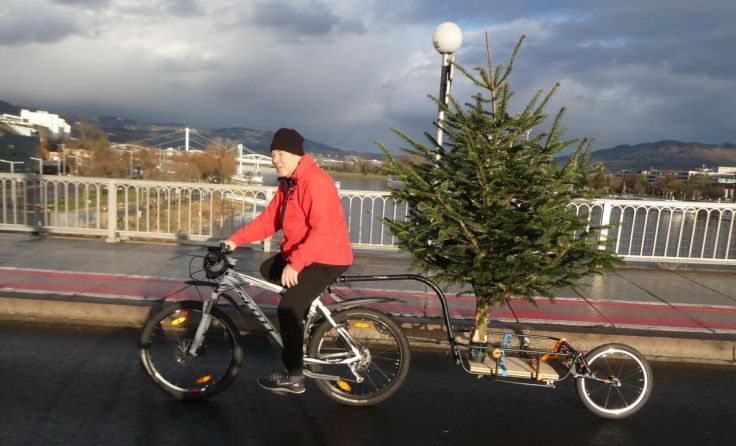 Traditionell wird auch ein Christbaum beim Neujahrsradeln mittransportiert. (Foto: Radlobby Linz)