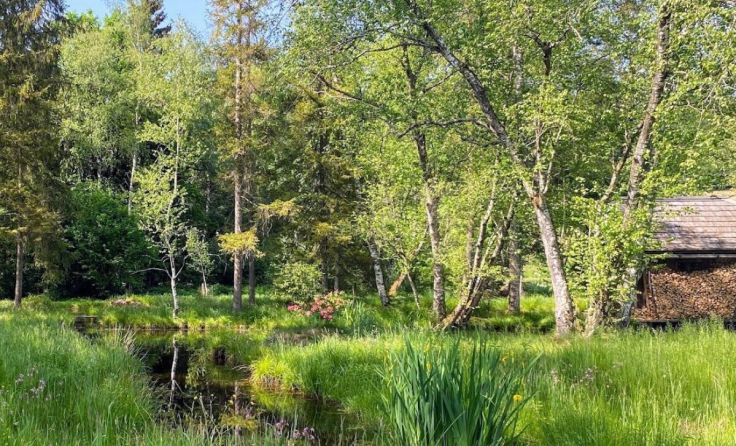 Im Gmöser Moor gibt es wieder Touren. (Foto: Gmöser Moor)