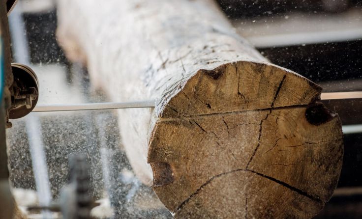 In der Ausstellung werden Mühlen und Sägewerke gezeigt. (Foto: adobe.stock.com/romaset)