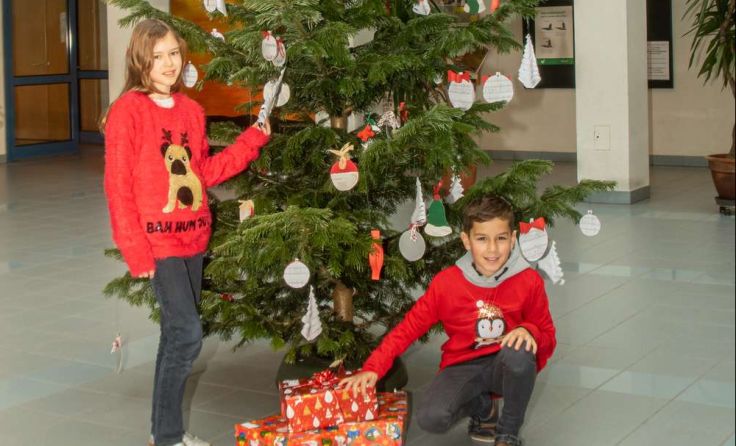 Christbaum in der Aula