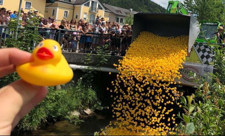 Rund 4.000 Enten schwimmen zum 13. Mal am Schwemmbach um die Wette. (Foto: FC Munderfing)