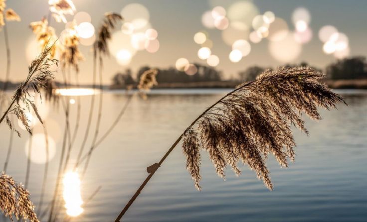 Naturerlebnis: Sonnenuntergang am Stausee (Foto: Franz Bachinger)