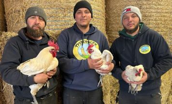 Ausgesetzte Tiere schon vor Ostern: Pfotenhilfe warnt vor unüberlegten Geschenken