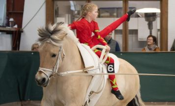 Cupfinale im Voltigieren in Braunau