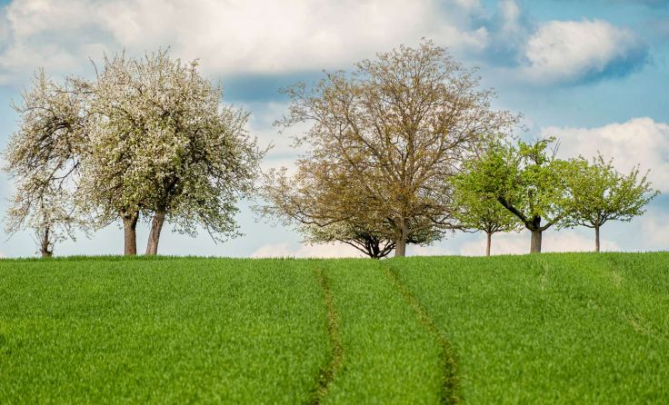 Foto: Frank Wagner/stock.adobe.com