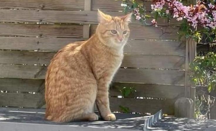  (Foto: Privat)