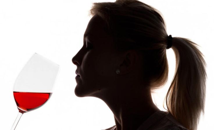 In Ottenschlag wird am 17. und 18. Juni zu den "Winzergesprächen" geladen. (Foto: Wodicka)