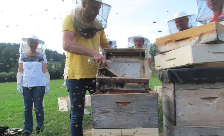 Mittendrin statt nur dabei - so die Devise bei der Ausbildung zu Imker (Foto: Pointner)