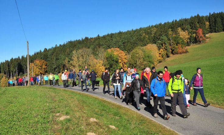  (Foto: Josef Reingruber)