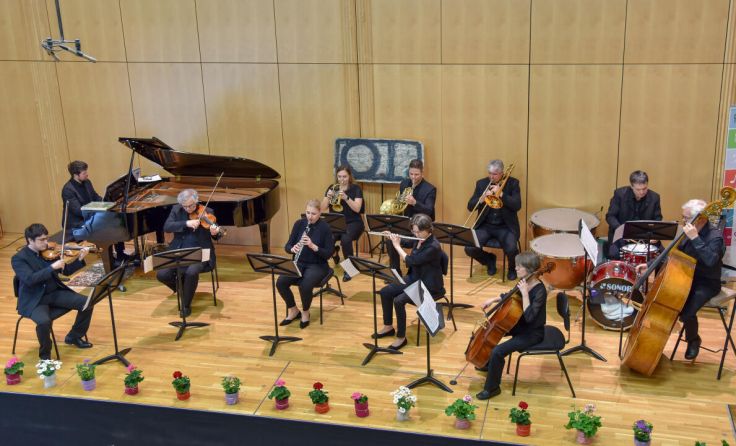 Salonorchester Gallneukirchen (Foto: Willi Minder)